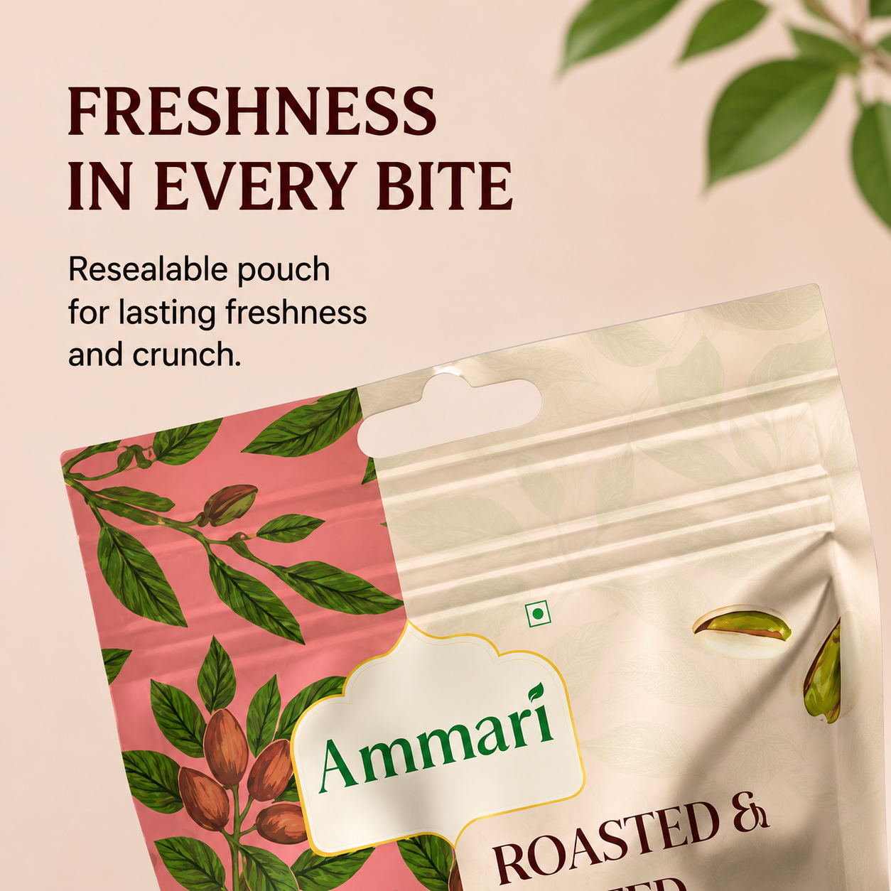 Roasted & Salted Pistachios
